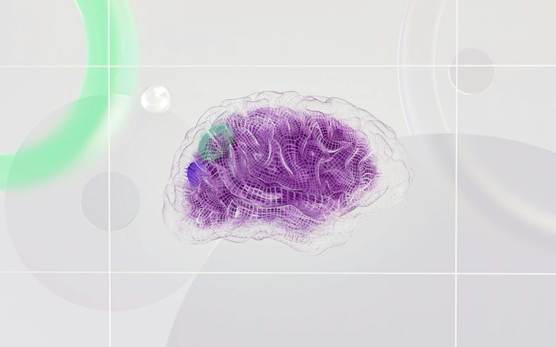 pexels-googledeepmind-17483868 pexels-googledeepmind-17483868